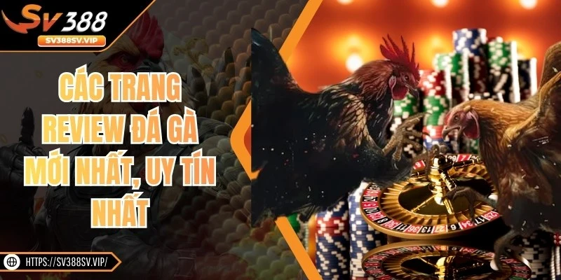 Các Trang Review Đá Gà Mới Nhất, Uy Tín Nhất