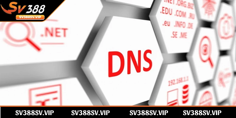 Cách đổi DNS trên máy tính khi SV388 bị chặn hiệu quả, dễ dàng