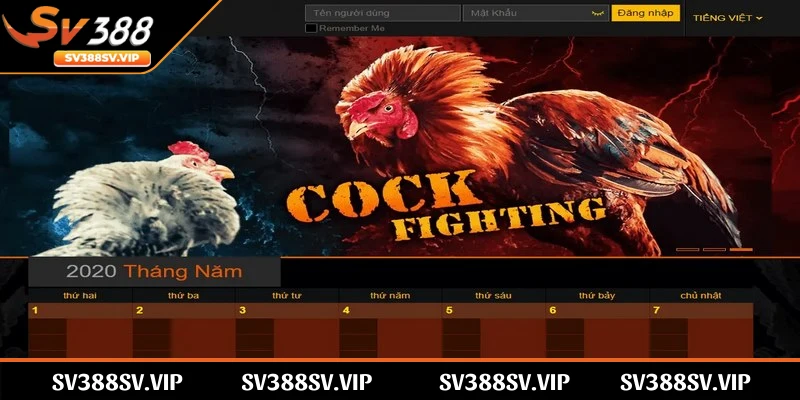Chơi SV388 đảm bảo việc giao dịch trả thưởng nhanh và an toàn