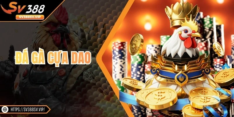Đá Gà Cựa Dao