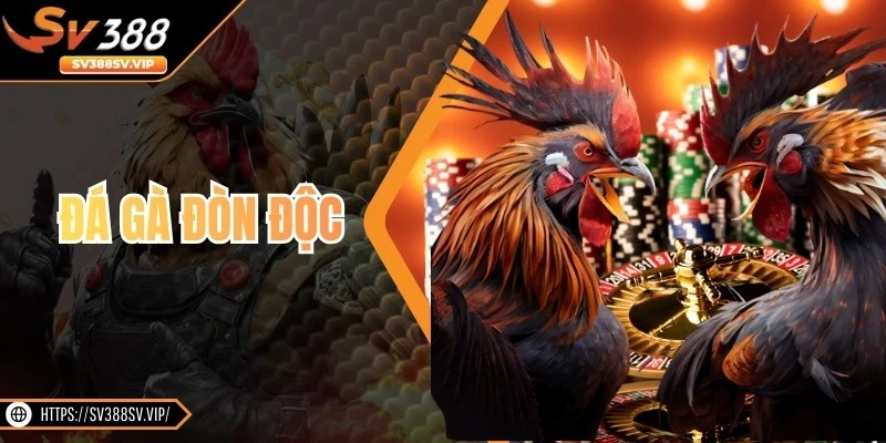 Đá Gà Đòn Độc