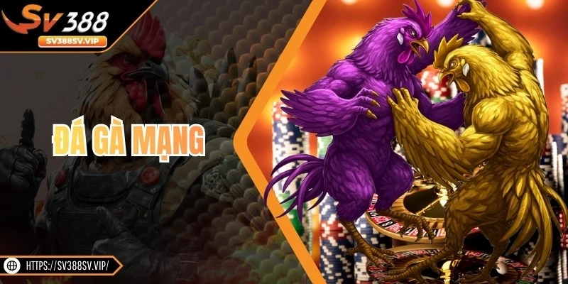 Đá Gà Mạng