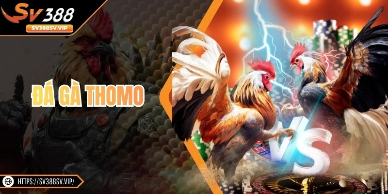 Đá Gà Thomo