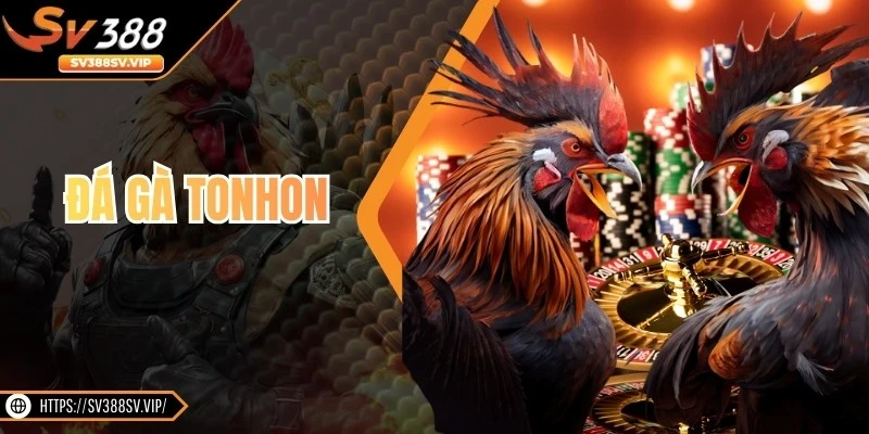 Đá Gà Tonhon