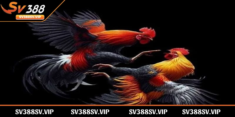 Nắm vững giải thích các thuật ngữ về: CJ2, DV1, PO1, Th7b, CPC5, CPC4, CPC3, CPC2 
