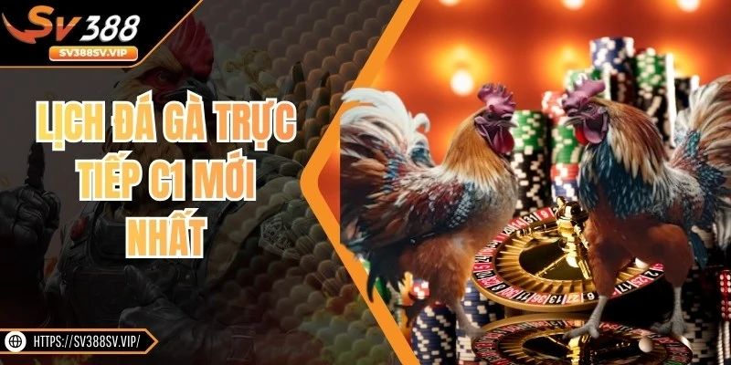 Lịch Đá Gà Trực Tiếp C1 Mới Nhất