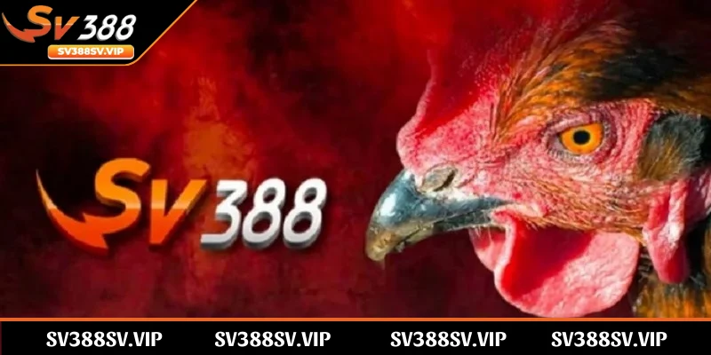 Nạp tiền SV388 là bước thiết yếu để người chơi bổ sung vốn cá cược