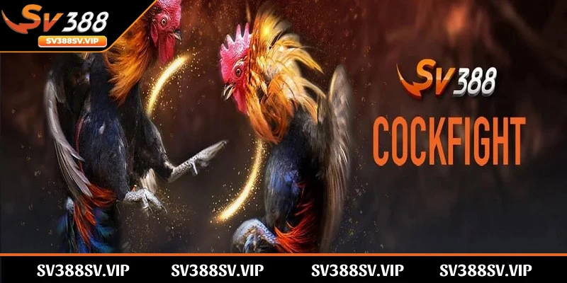 SV388 bị chặn, cách xử lý ra sao là một vấn đề được quan tâm
