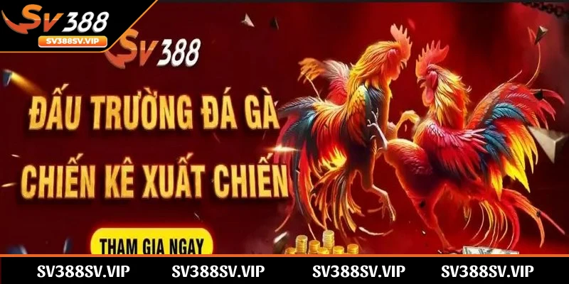 Khẳng định SV388 có bị phốt không, bằng chứng là chưa từng có