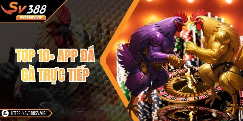 TOP 10+ App đá gà trực tiếp